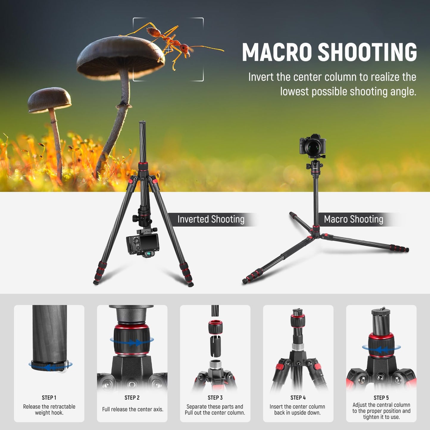 NEEWER 66"/168cm Carbon Fiber Tripod for Camera with 360° Panorama Ball Head, 1/4" Arca QR Plate, Portable Bag, Compact Travel Tripod Monopod for DSLR