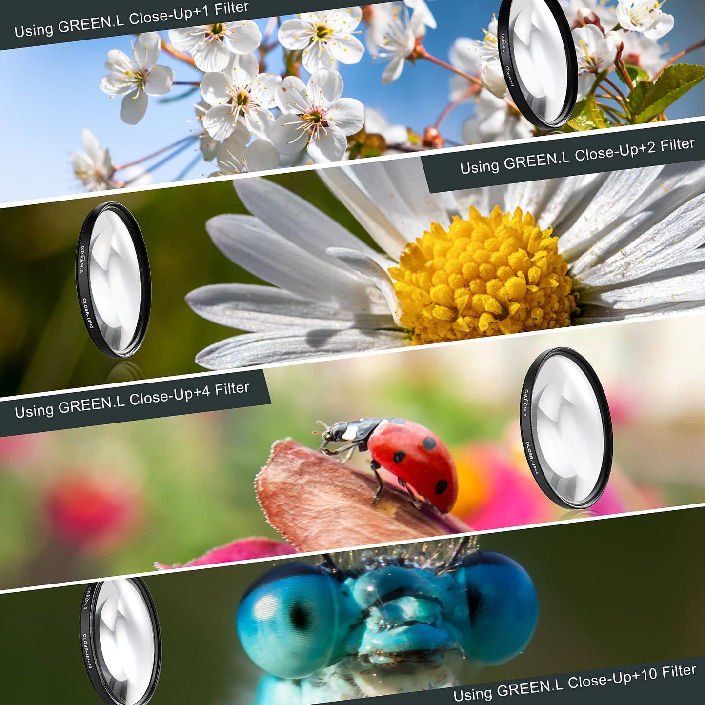 GREEN.L 67mm Close-up Filter Set(+1,+2,+4,+10), Professional Macro Filter for Camera Lens