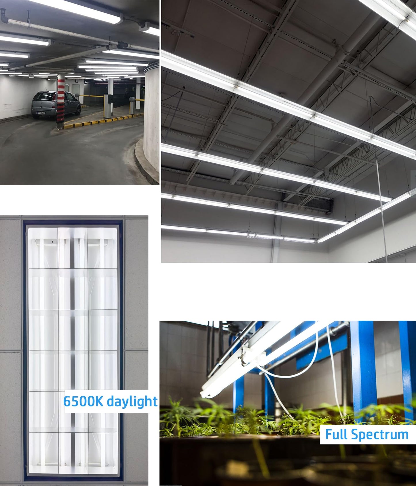 Cemlorot (10pack) 48 inch F32T8/865 Fluorescent Tube Light,4FT 32Watts 6500K Full Spectrum Daylight Bulb,Ra83 High Transparent Replacement for Ceiling