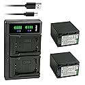 Kastar 2-Pack Battery NP-FV100 and LTD2 USB Charger Compatible with Sony NP-FV30 NP-FV40 NP-FV50 NP-FV70 NP-FV70A NP-FV90 NP-FV100 Battery, Sony