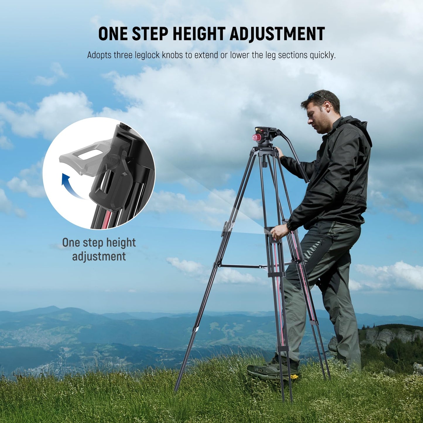 NEEWER 79"/2m Video Camera Tripod with Fluid Head, One Step Quick Release Aluminum Heavy Duty Tripod Stand with QR Plate Compatible with Canon Nikon