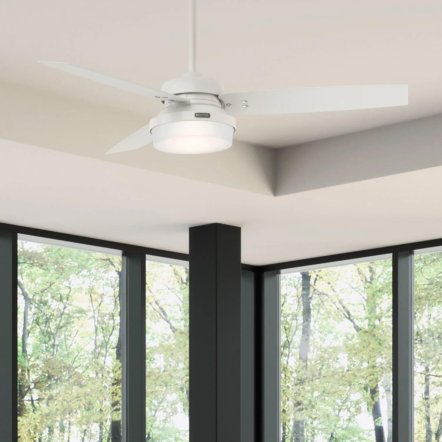 Hunter Fan 52 inch Casual Fresh White Indoor Ceiling Fan with Light Kit and Remote Control (Renewed)