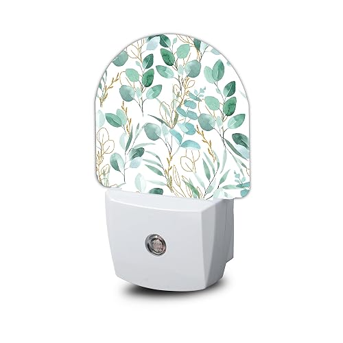 Eucalyptus Green Night Light - LED Wall Sconce for Bedroom, Bathroom, Hallway, Plug in Decorative Lighting, Gift Ready LED Wall Lamp for Women