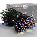HOME LIGHTING 66ft Christmas Decorative Mini Lights, 200 LED Green Wire Fairy Starry String Lights Plug in, 8 Lighting Modes, for Indoor Outdoor Xmas
