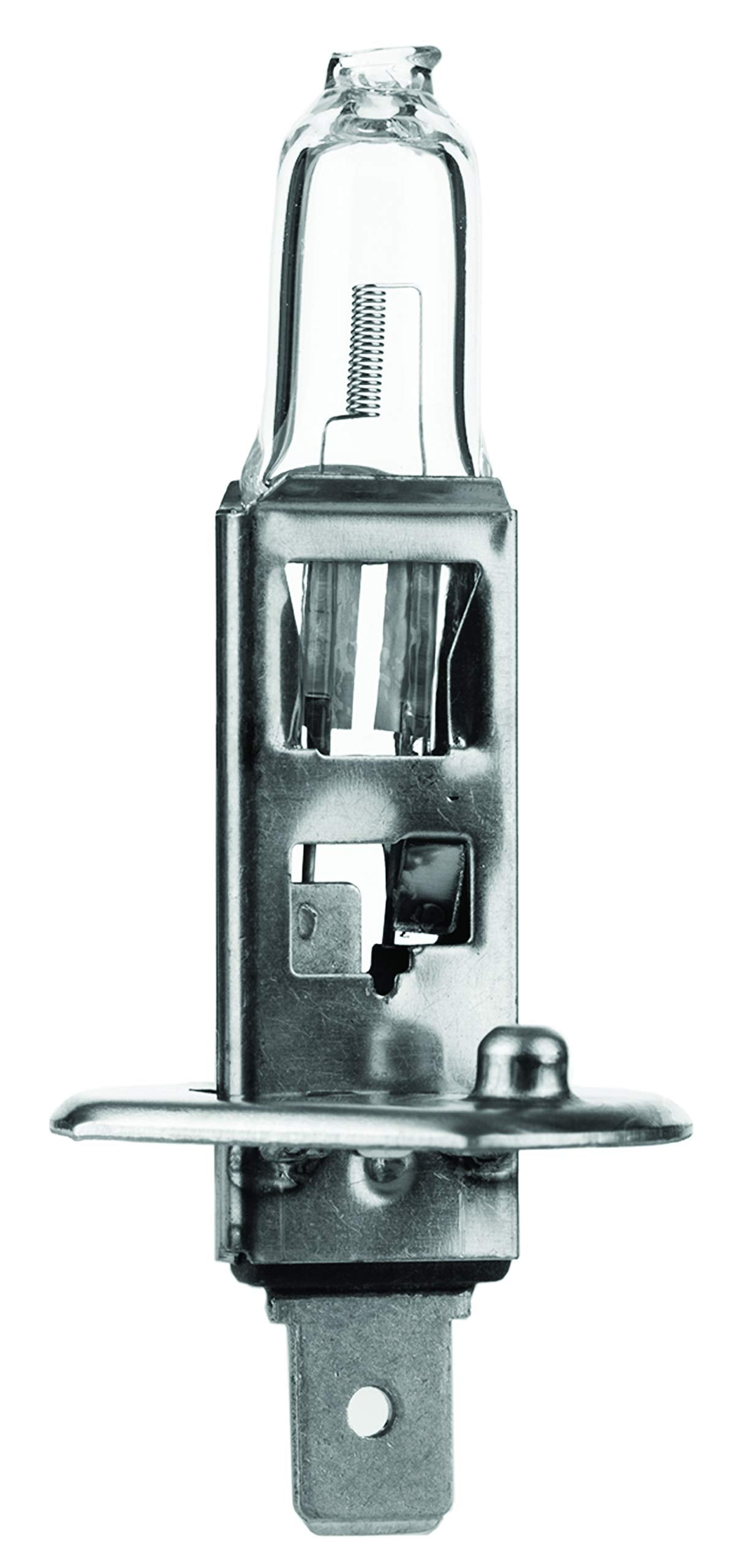 CEC Industries H1 55W Halogen Bulb 12.8 V, 55 W, P14.5s Base, T-2.5 Shape