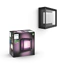 Philips Hue Econic Square Outdoor Smart Wall Light, Black - White and Color Ambiance LED Color-Changing Light - 1 Pack - Requires Hue Bridge - Control