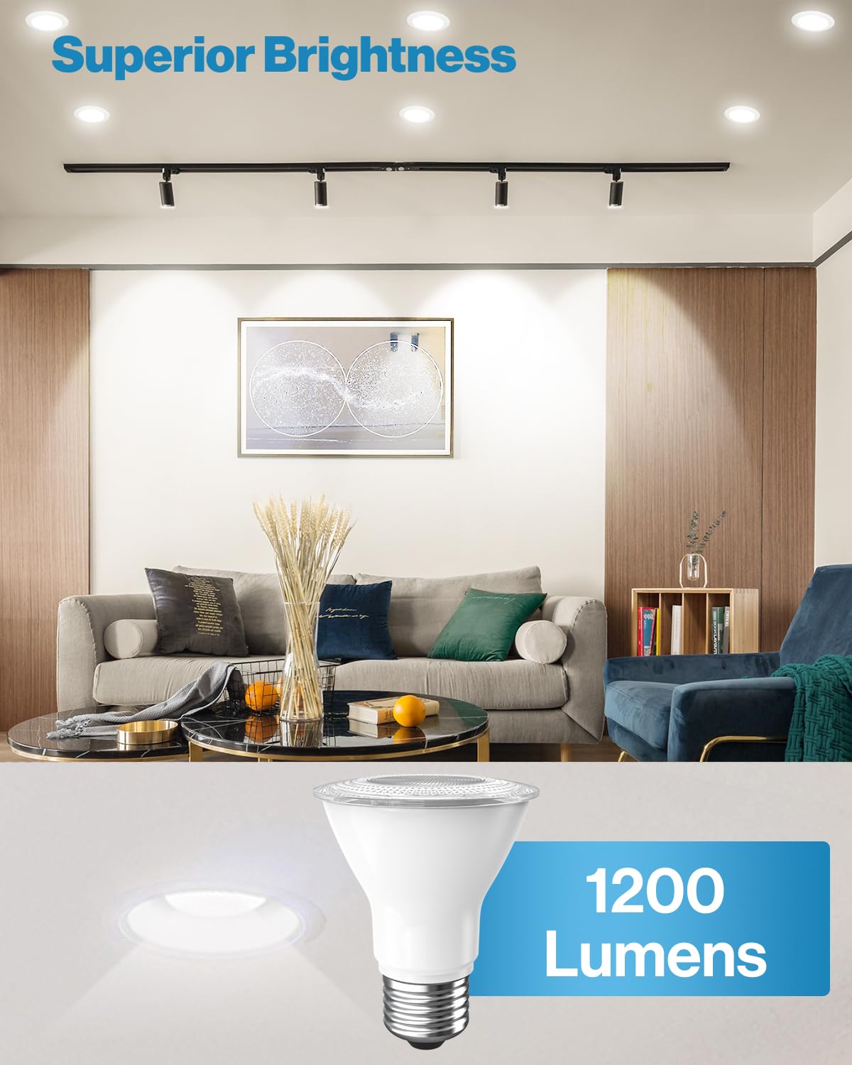 Sunco 2 Pack PAR30 LED Bulb, Long Neck Bright Flood Light, E26, 11W=75W