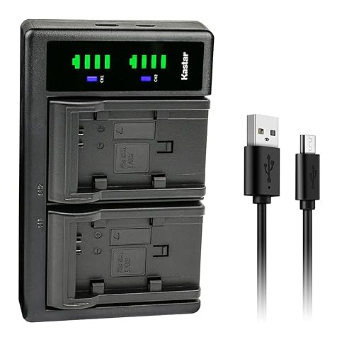 Kastar LTD2 USB Battery Charger Replacement for Canon BP-820/828, CG-800 Charger, VIXIA HF G50/G60/GX10 Camera