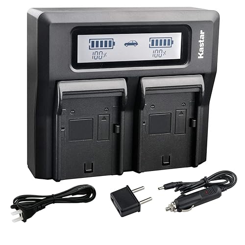 Kastar LCD Dual Fast Charger for Topcon BT-60Q BT-61Q BT-62Q BT-65Q BT-66Q GMS-2 Survey Instrument Battery, Topcon BC-30 BC-30D BT-30 Charger, Topcon