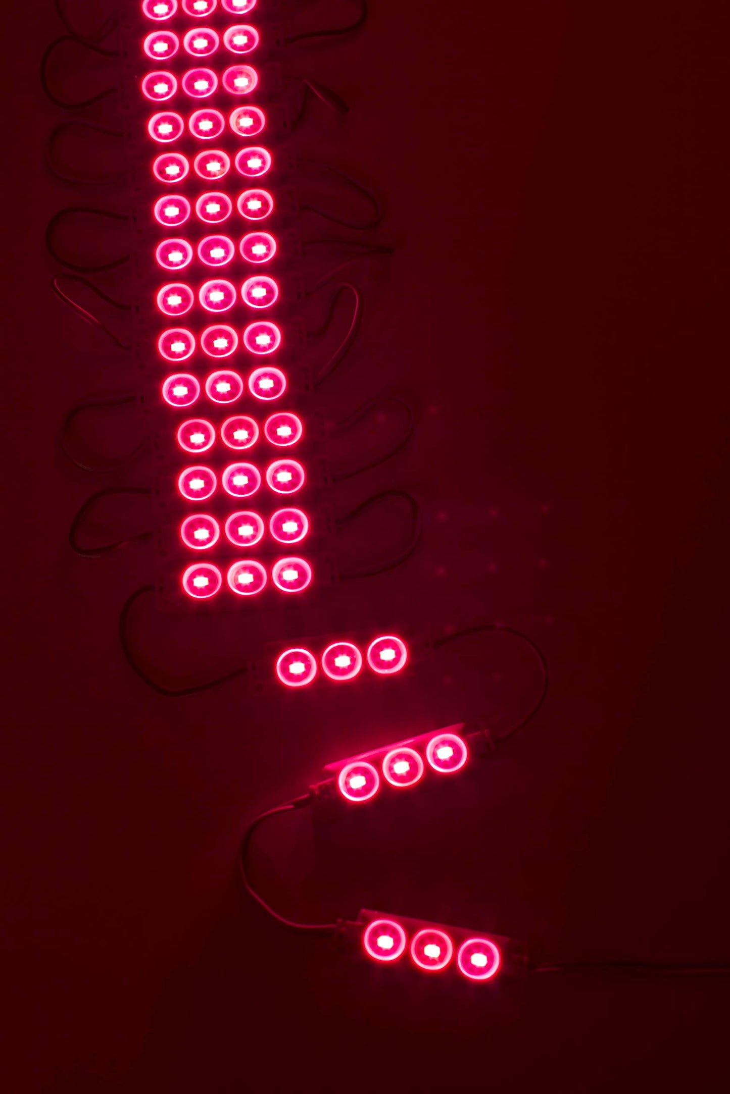 LEDUPDATES 20ft Storefront Super Bright Magenta hot Pink LED Light Module 5630 with UL 12v 3 Amps AC Power