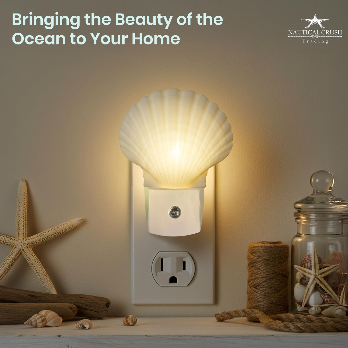 Nautical Crush Trading Seashell Night Light - Auto Beach Night Light with White Clam - Shell Light for Bathroom - Sea Shell Lamp - Seashell Lamp Plug