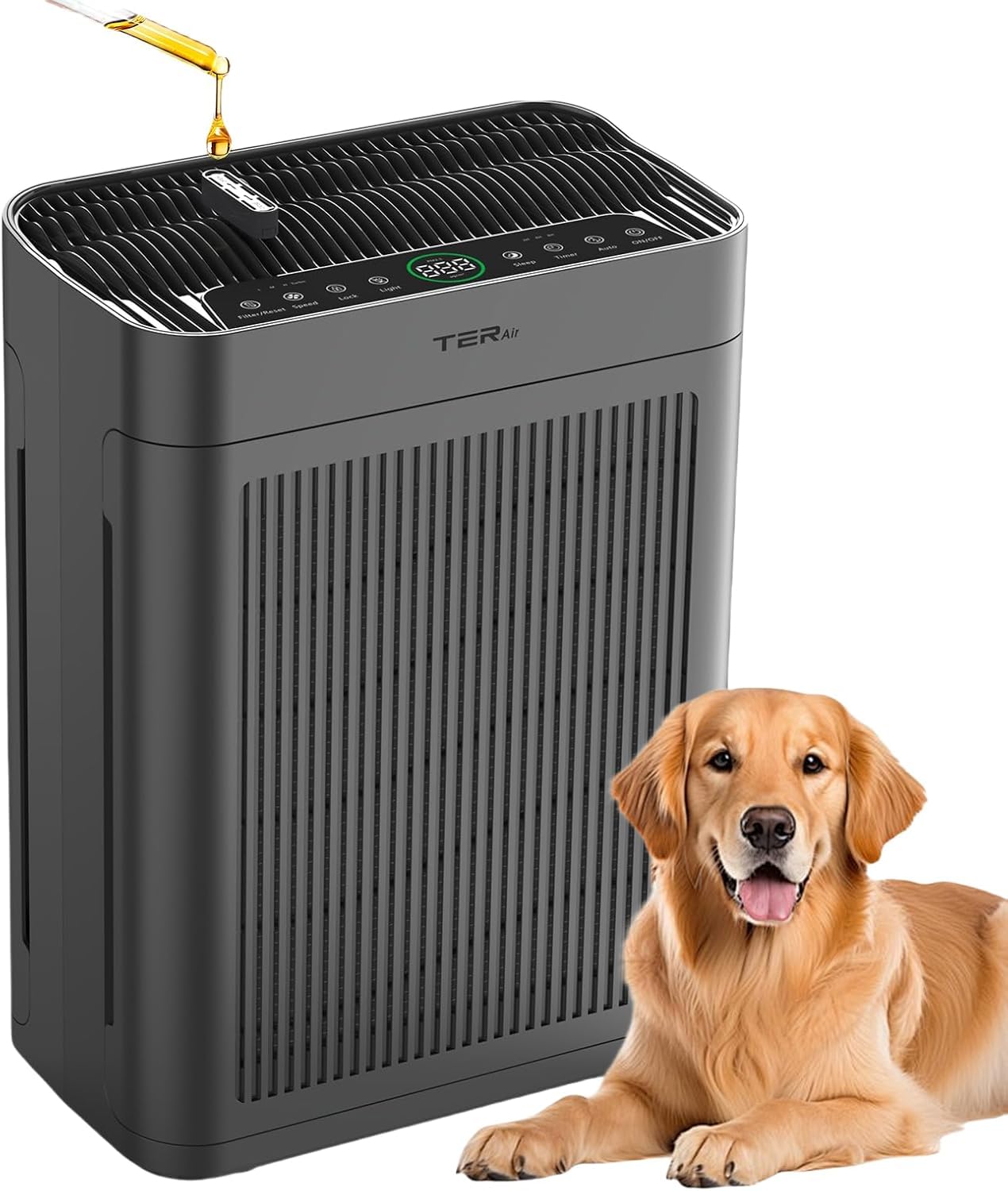 TER Air Purifiers for Home Large Room Bedroom with HEPA Washable Pre-Filter