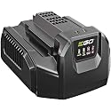 Andwing EGO Power+ CH2100 56-Volt Lithium-ion Standard Charger (Renewed)
