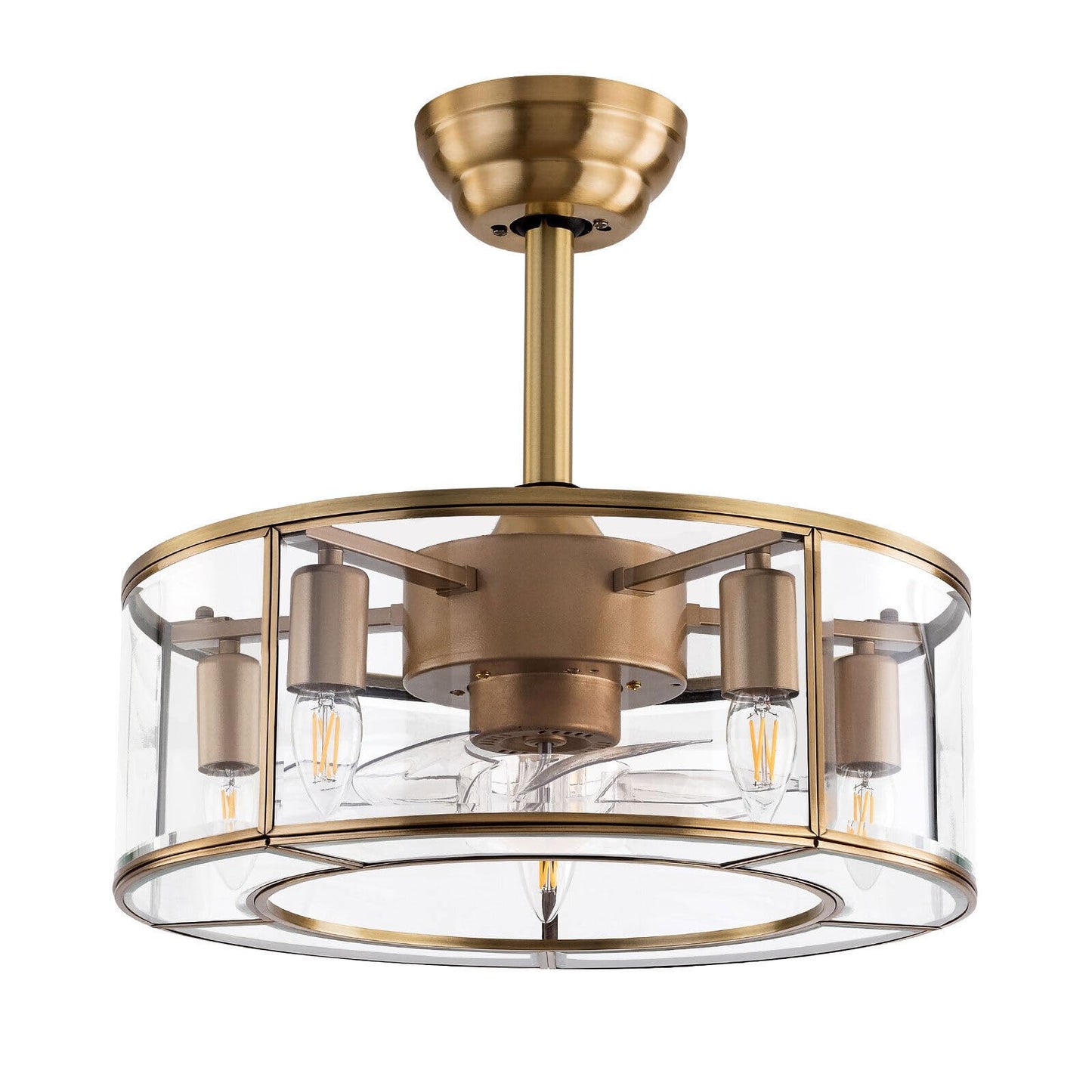 FTUREPAC 2-in-1 Caged Ceiling Fan with Lights Remote Control, Rustic Farmhouse Ceiling Fan with Light & six gears of wind speeds,Industrial Bedroom