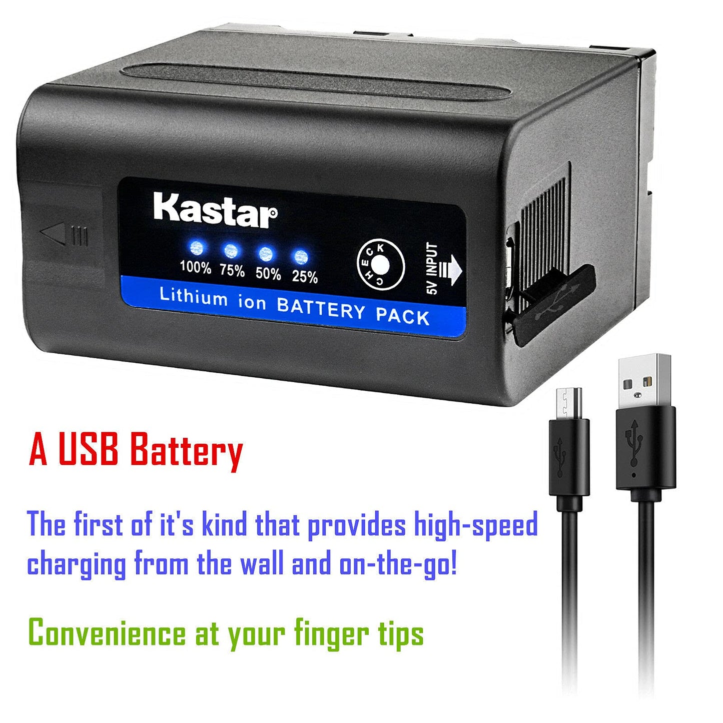 Kastar 3 Pack Battery and LCD Dual Fast Charger for Sony NP-F980 Pro NP-F970 LED Video Light CN-126 CN-160 CN-216 CN-304 VL600 YN300 and Other LED