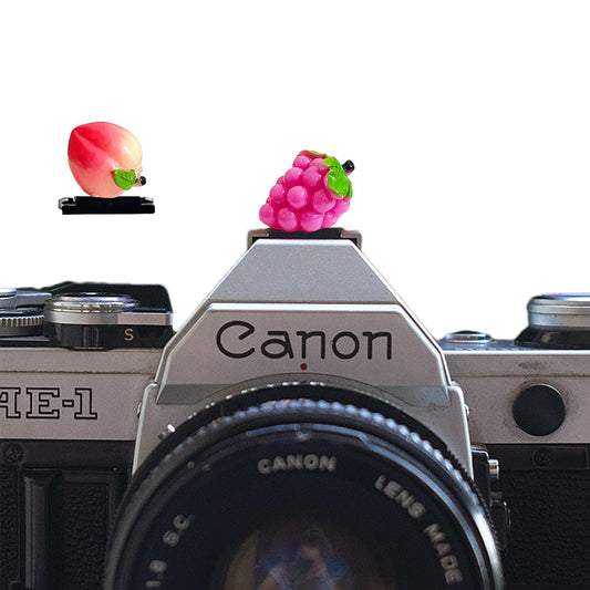 Camera Hot Shoe Cover, Cute Hot Shoe Cap, Hot Shoe Protector Compatible with Sony Fujifilm Fuji Canon Nikon Pentax Leical Panasonic (2pcs Grape Peach)