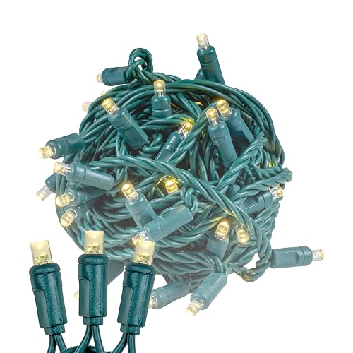 Novelty Lights 24ft 70 LED Warm White Christmas Lights Outdoor/Indoor, 4" Spacing, Green Wire String Lights for Festive Xmas Lighting, IP55, UL