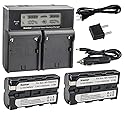 Kastar LCD Dual Fast Charger & 2 x Battery Replacement for Sony NP-F330 NP-F550 NP-F570, CCD-RV200 CCD-SC9 CCD-TR1 CCD-TR940 CCD-TR917 Camera, CN-126