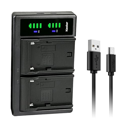 Kastar NP-F550/F570 LTD2 USB Battery Charger Replacement for CCD-TR414 CCD-TR415 CCD-TR416 CCD-TR425 CCD-TR427 CCD-TR500 CCD-TR511 CCD-TR512 CCD-TR515