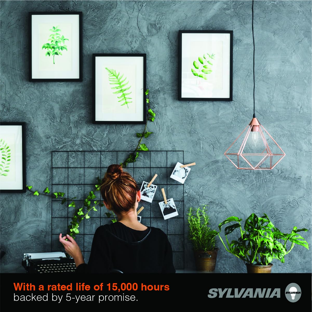 Sylvania B10 Clear LED White Filament Bulb, 3.5W, Dimmable, 350 LMS, Medium Base, 5000K, Daylight - 4 Pack (42257)