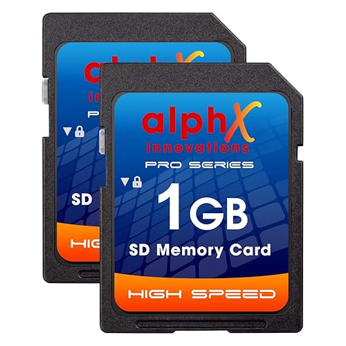 D50 D40 D40X D3300 Digital Camera Memory Card 2X 1GB Secure Digital (SD) Memory Card (1 Twin Pack)