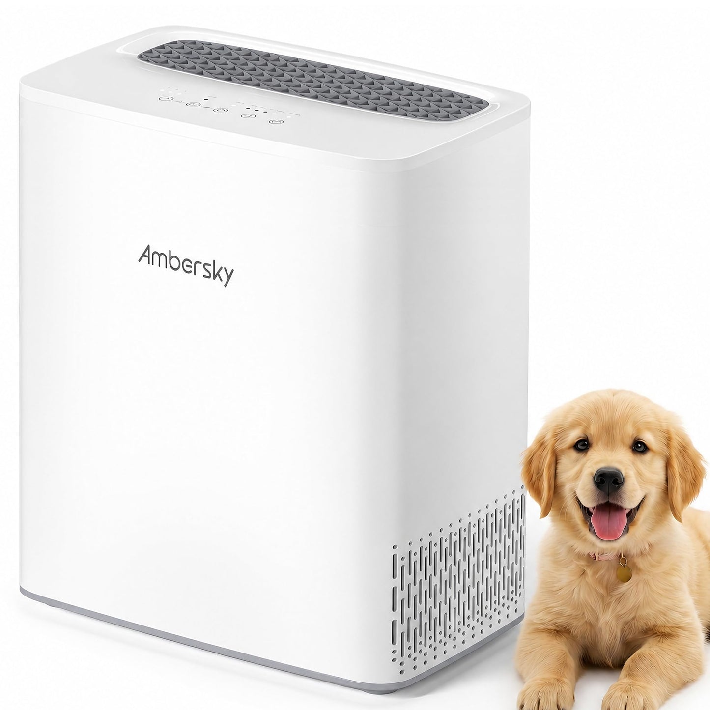 Ambersky Air Purifier for Home, True HEPA Filter Cover Up to 2000sq.ft