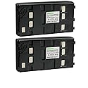Kastar 2-Pack Battery Replacement for Panasonic PV-IQ305 PV-IQ306 PV-IQ325 PV-IQ403 PV-IQ404 PV-IQ404A PV-IQ405 PV-IQ503 PV-IQ504 PV-IQ505 PV-IQ525