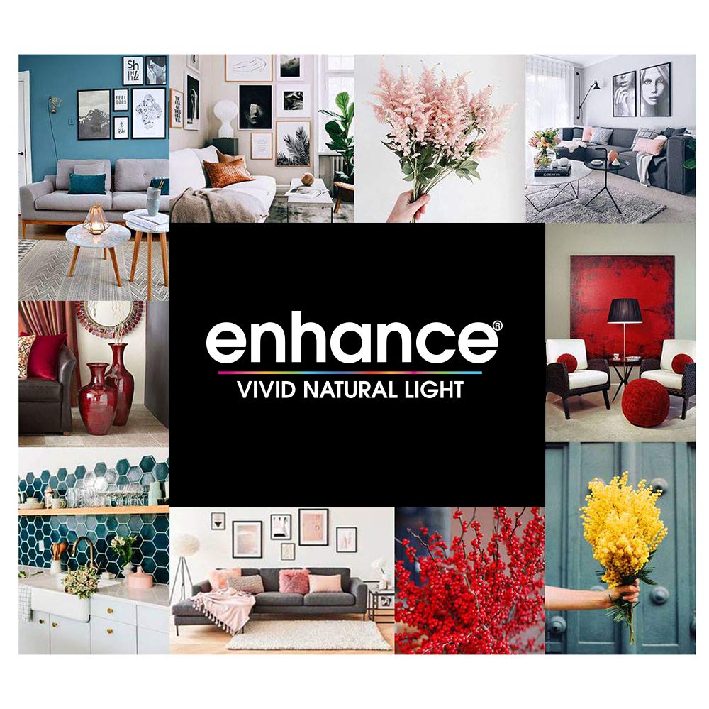 Feit Electric LED A19 Medium Base Light Bulb - 60W Equivalent - 15 Year Life - 810 Lumen - 2700K Soft White - Dimmable | 2-Pack