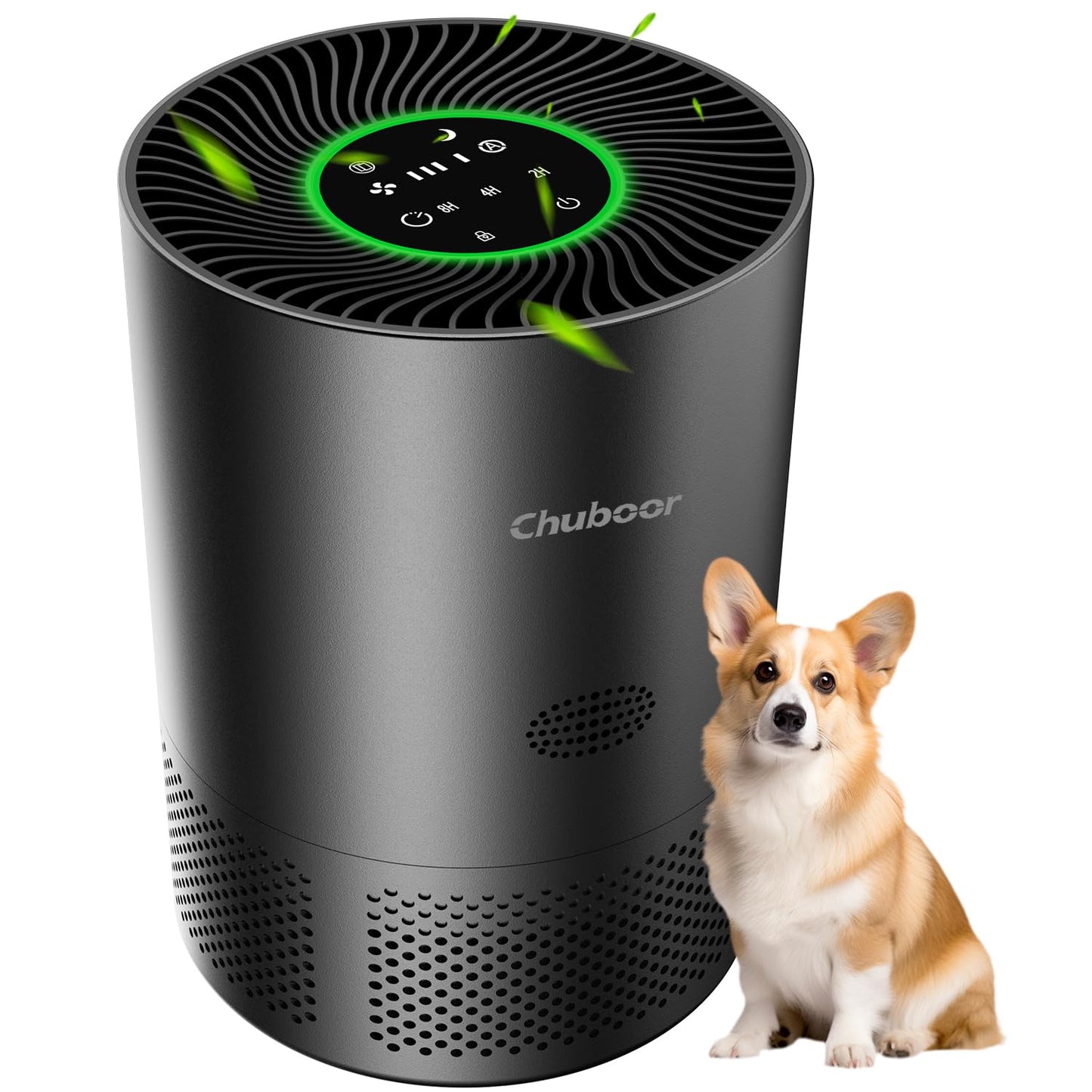 Air Purifiers for Home Large Rooms, H13 True HEPA with Timer