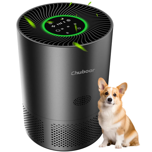 Air Purifiers for Home Large Rooms, H13 True HEPA with Timer