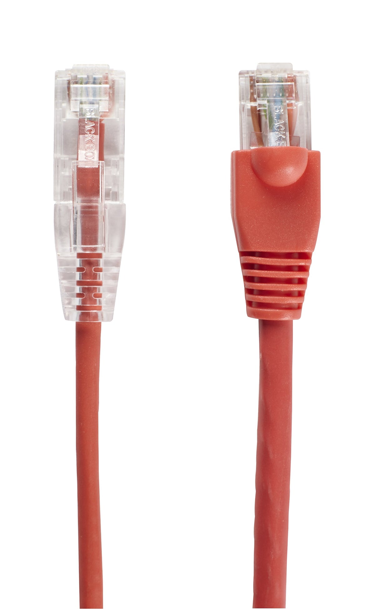Black Box CAT6A 500MHZ STR UTP PVC SNG RD 3FT