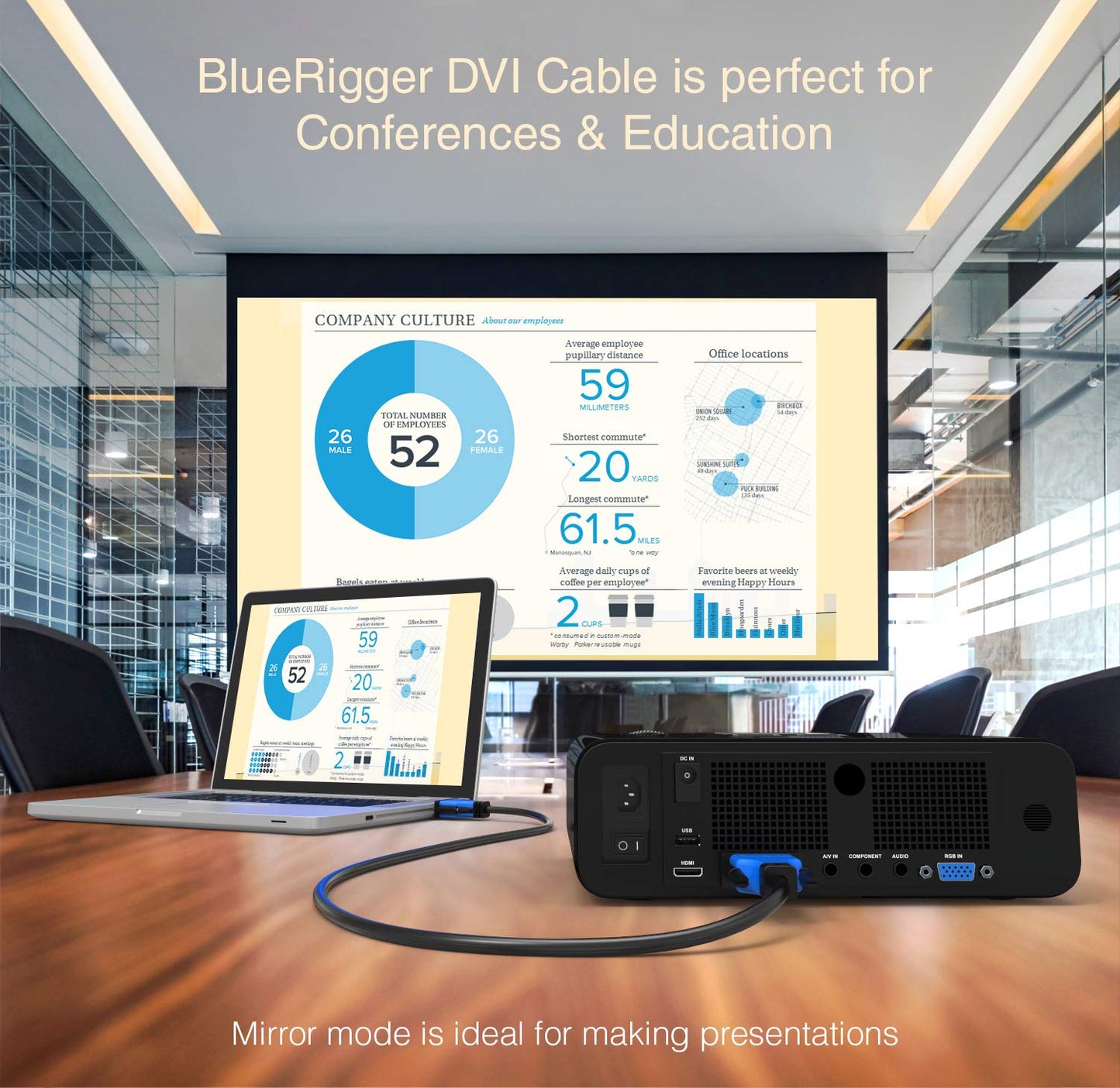 BlueRigger DVI to DVI Monitor Cable (3FT, 24+1 Dual Link, Digital Video Cable, Male to Male) - for Gaming, DVD, Laptops, HDTV and Projector