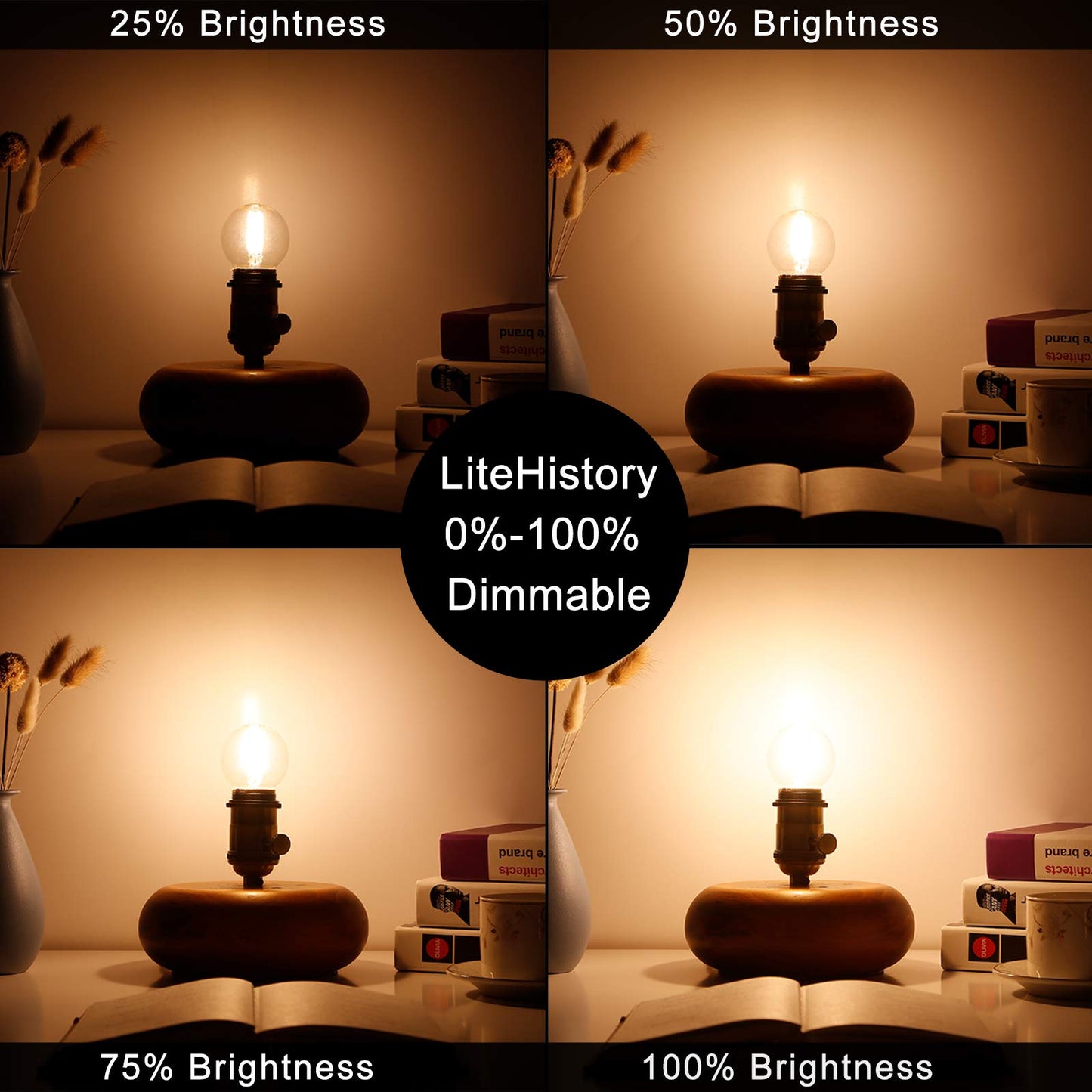 LiteHistory G16.5 Edison Bulbs,E26 Led Bulb 60 watt,Warm White 2700K,Clear