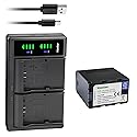 Kastar 1-Pack Battery and LTD2 USB Charger Replacement for JVC GY-HMQ10, GY-HMQ10E, GY-LS300, GY-LS300CHU, GY-HM200, GY-HM200U, GY-HM200HW