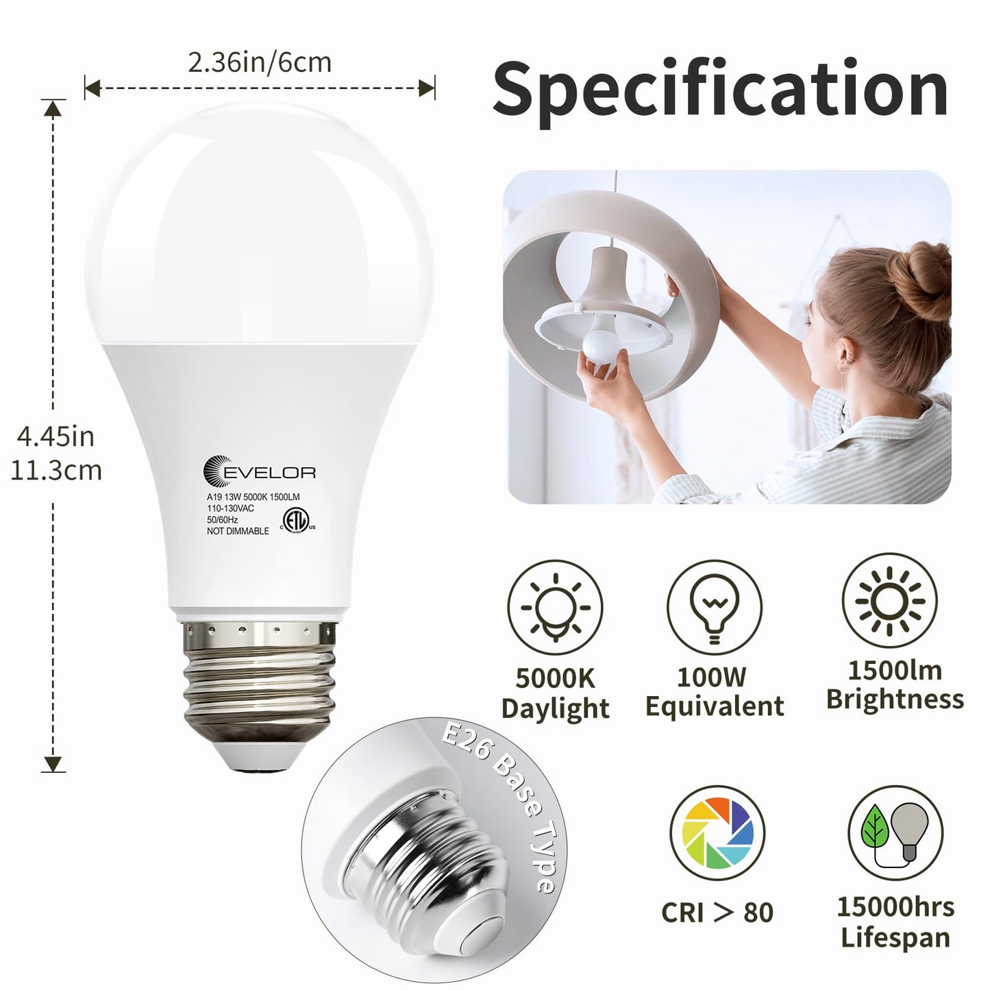 evelor A19 LED Light Bulbs,100 Watt Equivalent Daylight 5000K Efficient 13W,1500 Lumens E26 Base, Non-Dimmable, 15000-Hour Lifespan for Bedroom