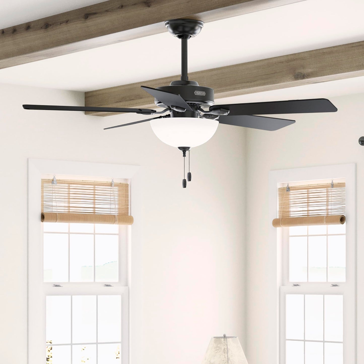 Hunter Fan 52 Inch Casual Matte Black Finish Indoor Ceiling Fan with LED Light Kit and Pull Chain (Renewed)