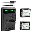 Kastar 2-Pack Battery and LTD2 USB Charger Compatible with Panasonic PV-GS59, PV-GS65, PV-GS70, PV-GS75, PV-GS80, PV-GS83, PV-GS85, PV-GS120