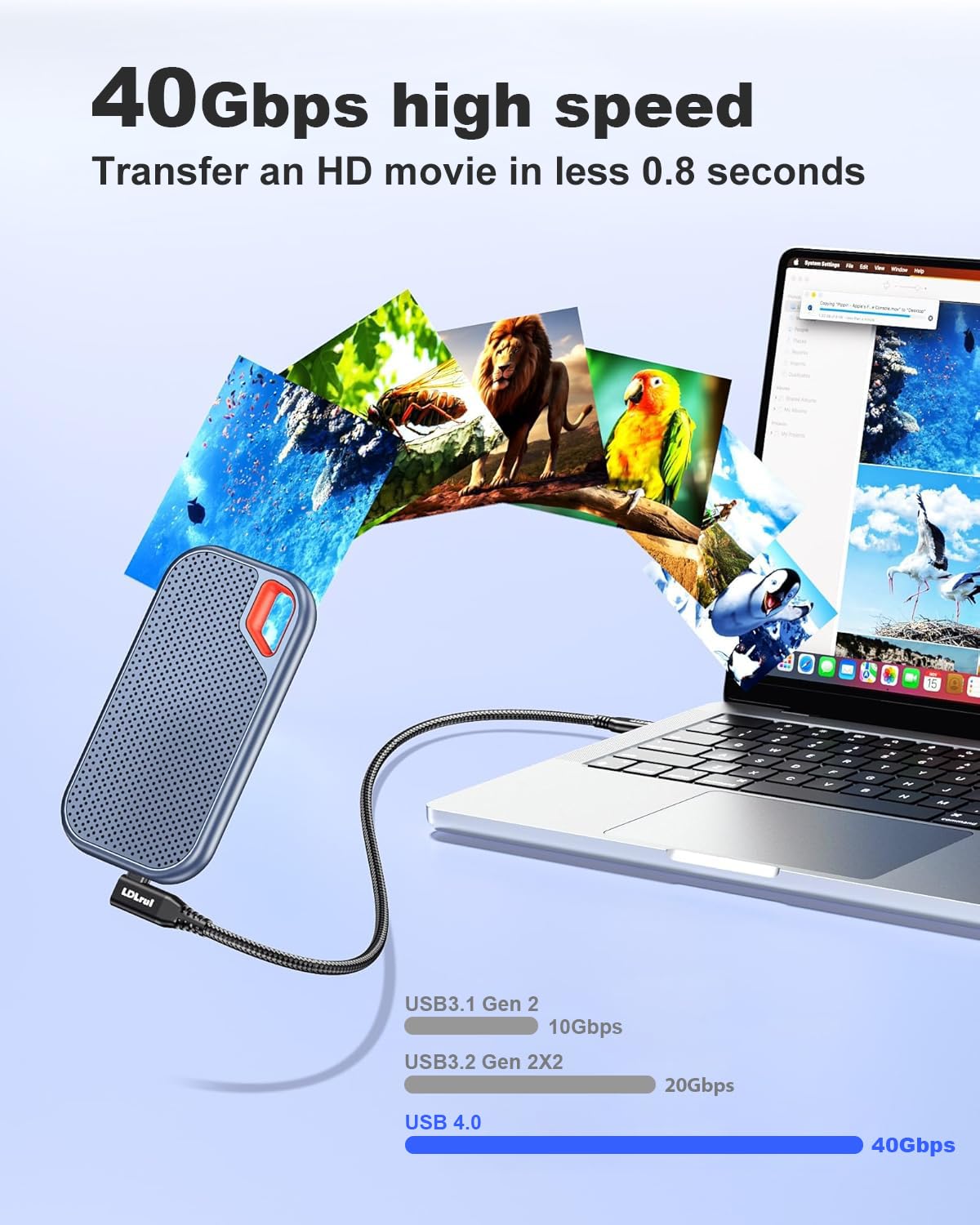 40Gbps USB 4 High Speed Data Transfer Cable[2FT], Right Angle USB C for Thunderbolt 4 Cable, USB C Monitor Cord 8K/4K UHD Display, 240W Fast Charging