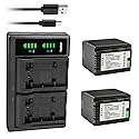 Kastar 2-Pack VW-VBK360 Battery and LTD2 USB Charger Replacement for Panasonic VW-VBK360, VW-VBK180, VW-VBL090, VW-VBL180, SDR-T50K, SDR-T50P