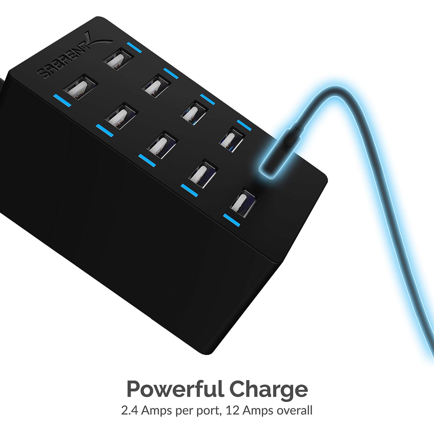 Sabrent 60 Watt (12 Amp) 10-Port [UL Certified] Family-Sized Desktop USB Rapid Charger. Smart USB Ports with Auto Detect Technology [Black] (AX-TPCS)