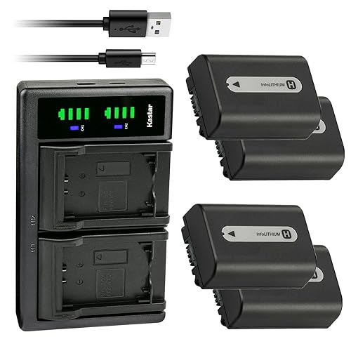 Kastar 4-Pack NP-FH50 Battery and LTD2 USB Charger Replacement for Sony DCR-SR36, DCR-SR37, DCR-SR38, DCR-SR40, DCR-SR42, DCR-SR45, DCR-SR46