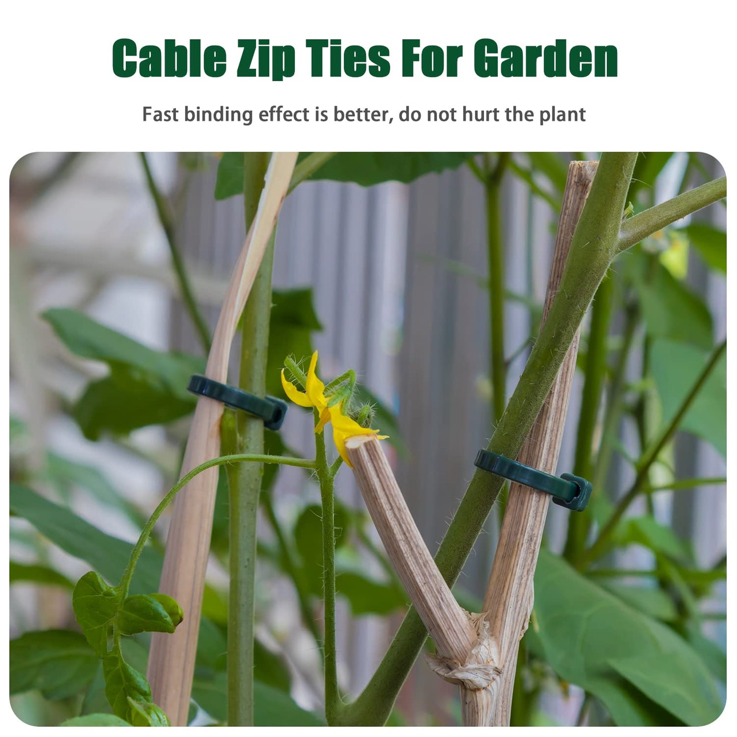 Armpow Garden Green Cable Zip Ties Heavy Duty Assorted Sizes, 1000 PCS Self-Locking 4+6+8+10+12 Inch 50LBS Nylon Cable Ties, Perfect for Home, Office