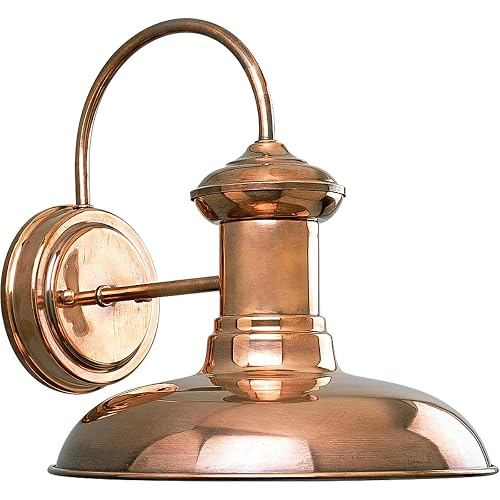 Progress Lighting P5722-14 Brookside Outdoor, 10-Inch Width x 10-3/4-Inch Height, Brown