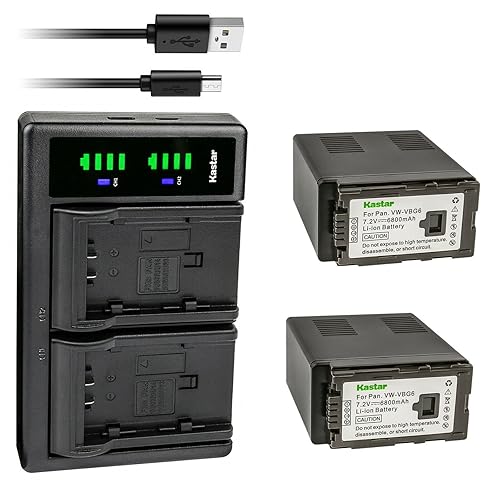 Kastar 2-Pack VW-VBG6 Battery and LTD2 USB Charger Replacement for Panasonic AG-AC130AEJ, AG-AC130AP, AG-AC160, AG-AC160A, AG-AC160AEJ, AG-AC160AP