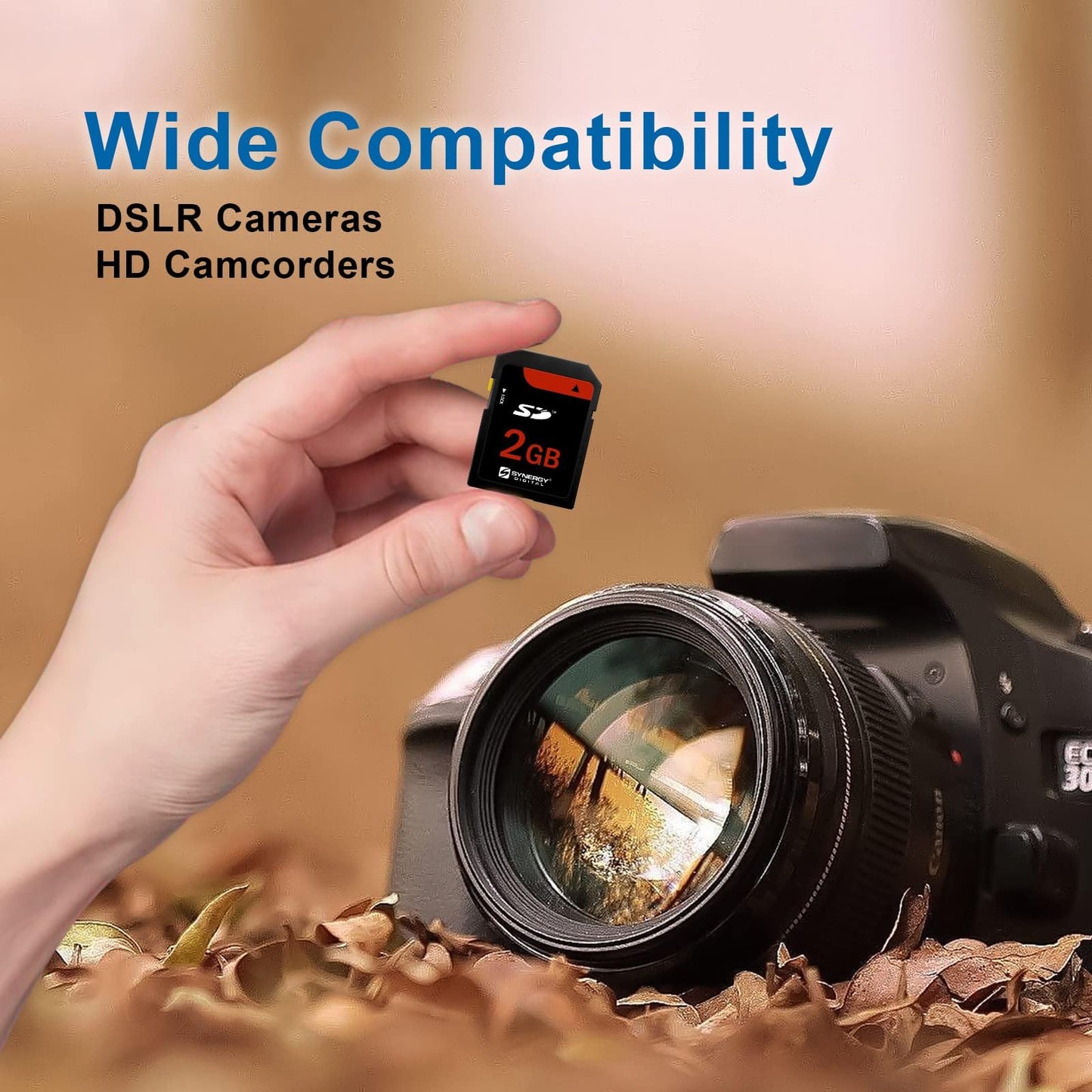 Casio Exilim EX-S3 Digital Camera Memory Card 2GB Standard Secure Digital (SD) Memory Card