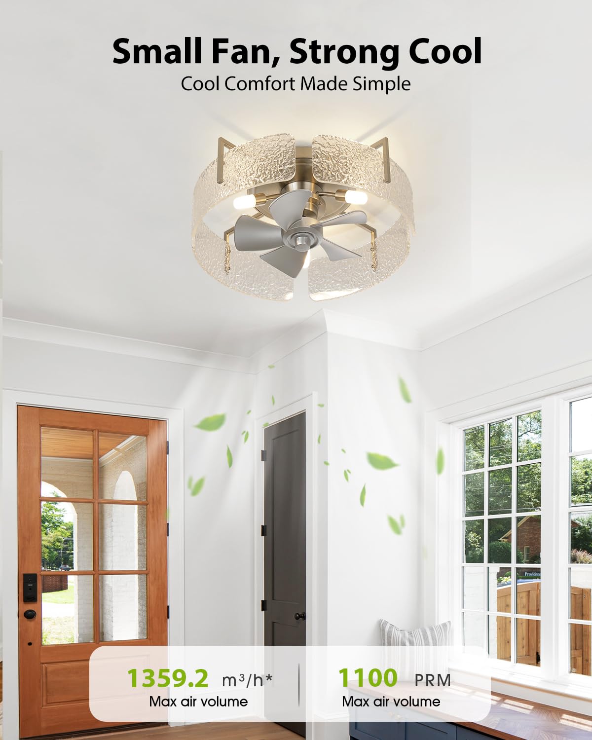 CalorHoga 20" Low Profile Caged Ceiling Fan with Light and Remote