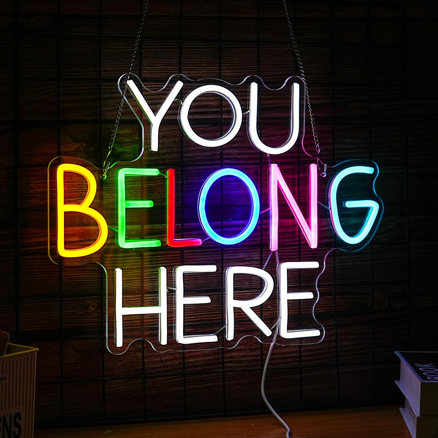 BNEMCEZH You Belong Here Neon Sign Dimmable Colourful LED Neon Light Sign for Wall Decor USB Powered Letters Neon Light for Bedroom Party Classroom