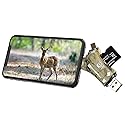 Liplasting Trail Camera Viewer SD Card Reader for iPhone iPad Mac & Android, 4 in 1 SD/Micro SD/TF Memory Card Reader Adapter to View Hunting Game