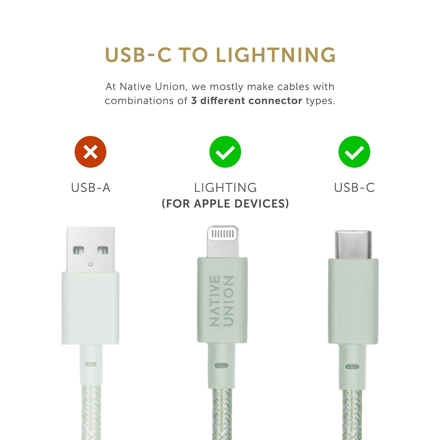 Native Union Belt Cable USB-C to Lightning - 4ft Ultra-Strong Reinforced Charging Cable with Leather Strap [MFi Certified] Compatible with iPhone 14…