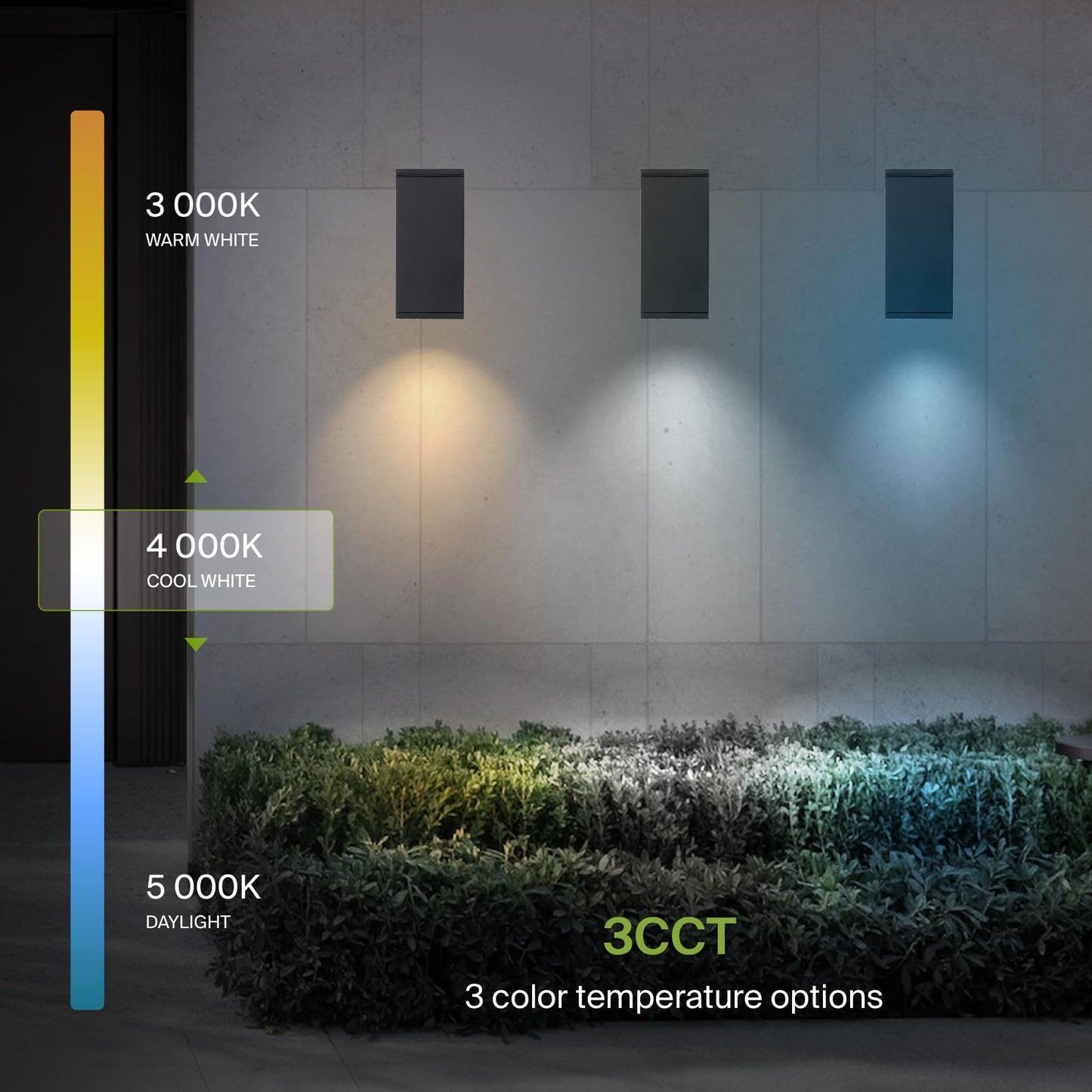 ASD 1 Light Square Dusk to Dawn LED Outdoor Wall Light Fixture | 9W 1000LM 3000K-5000K 120V Cylinder Up Down Lights | Exterior Wall Sconce | Front